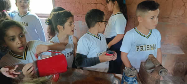 Bicho Mania 2022